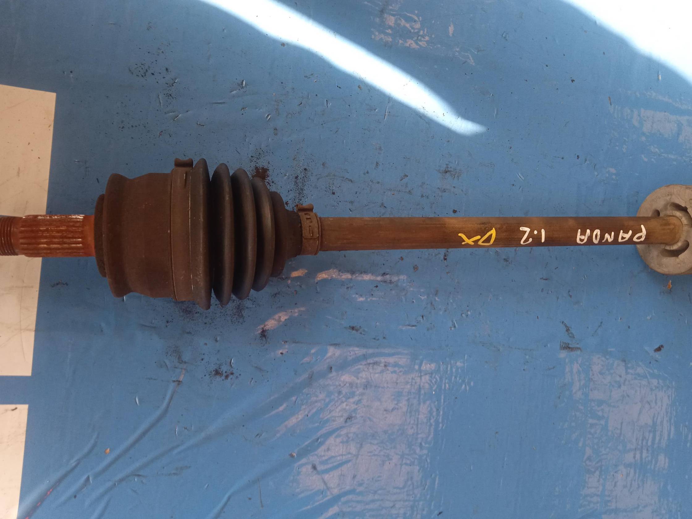 Semialbero ant. compl. dx.